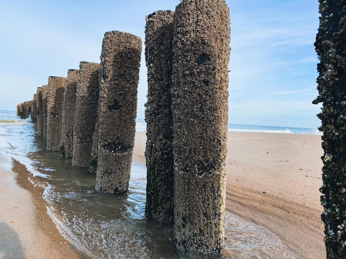 Vakantiehuis Domburg Do33 Eksteriør bilde